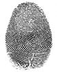 Fingerprint identification